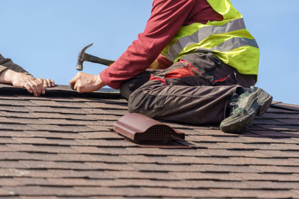Best Metal Roofing Contractor  in Durand, WI