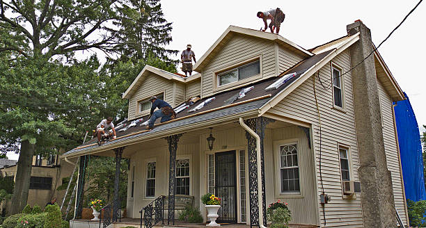 Best Shingle Roofing Installation  in Durand, WI